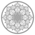 Relieve Daily Stresses With Beautiful Free Flower of Life Coloring Page